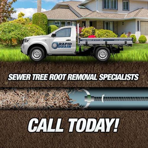 Sewer Tree Root Removal Specialists In Godwin Beach